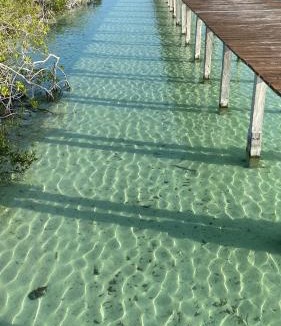 Mario Villanueva Madrid Apartment | Guarumbo, la mejor ubicación