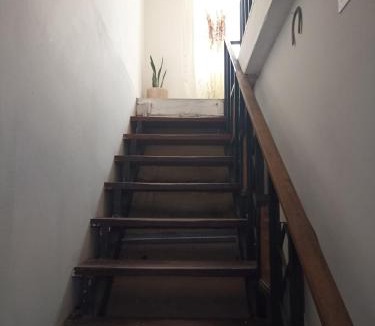 Chihuahua House | Habitacion Amatista