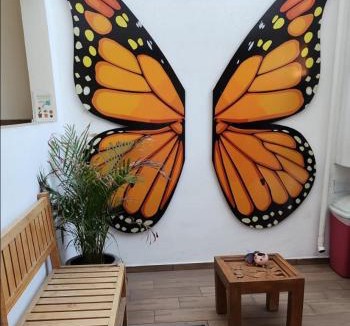 Morelia House | Habitaciones Mimado morelia