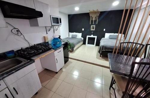 Venustiano Carranza Apartment | Hermoso Loft a 15min AICM