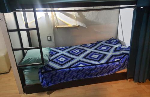 Colonia Roma House | HOM Roma