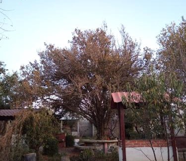 Tlachichuca House | Hostal Citla