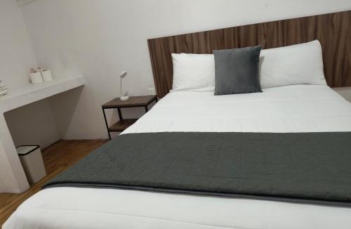 Reforma House | Hostal Schultz