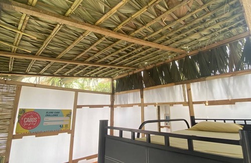 Downtown San Jose del Cabo Hostel | Hostel ∙ 8 guests