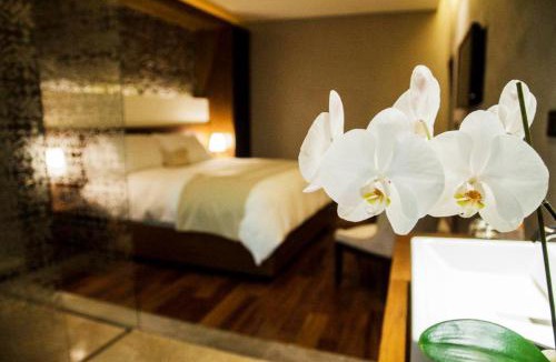 Historic Centre Hotel | Hotel Boutique Casa Madero