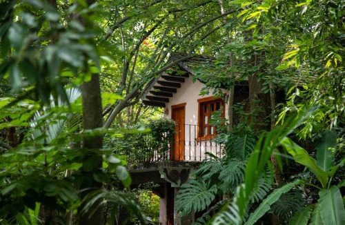 Zacaulpan de Amilpas Hotel | Hotel La Casa de los Árboles Immersive Experience