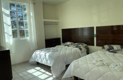 Oaxaca Hotel | Hotel Leilani
