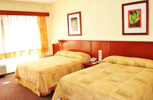 Historic Centre Hotel | Hotel Marcella Clase Ejecutiva