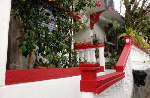 Xilitla House | Hotel Posada Casa del Ingenio