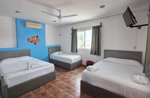 Rio Lagartos Hotel | Hotel Tabasco Rio
