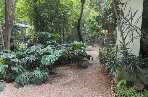 Puebla Villa | House among trees.