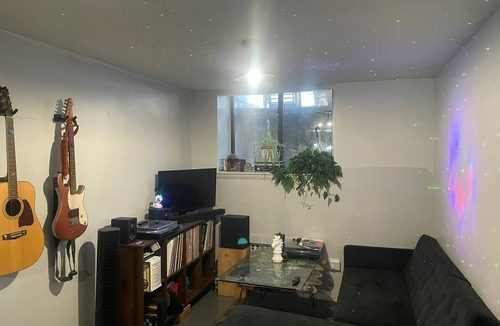Clinton Hill Apartment | Huge duplex with private back yard in Clinton hill.