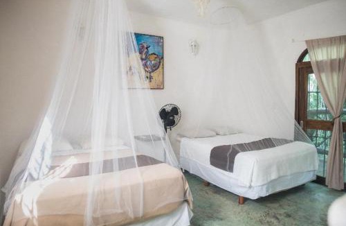 Leona Vicario Hotel | Jolie Jungle Eco Hotel