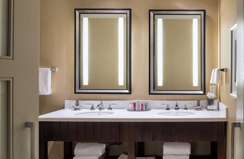 Lenox Hotel | King | Wyndham Atlanta Buckhead Hotel & Conference Center | Pet Friendly