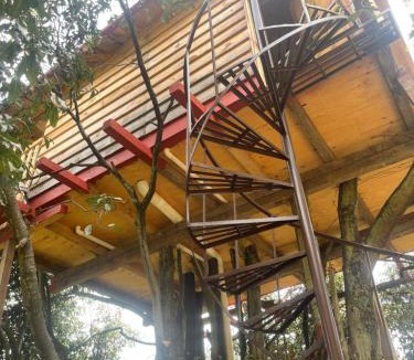 Toluca City-Centre Cabin | La cabaña