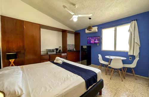 Colonia Campestre House | Loft con excelente ubicacion en la ciudad