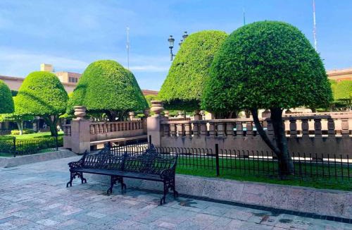Leon Centro Apartment | Loft con terraza entrada independiente zona centro