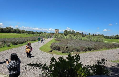 Santeagueda Apartment | Loft Michelangelo: ¡El esplendor de Val'Quirico!