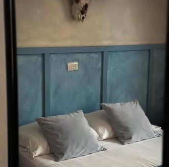 Colonia Guadalupe Hostel | Lool Beh Hostal