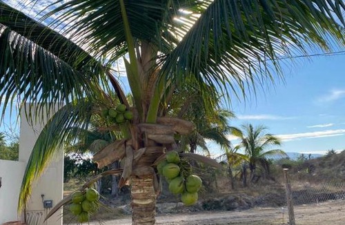 Perula Apartment | Los Amores Apartments B