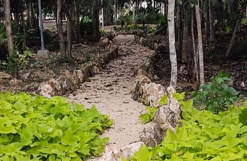 Cancun Apartment | Lovely Apartment HOEStel Pedreira!