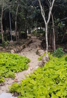 Cancun Apartment | Lovely Apartment HOEStel Pedreira!