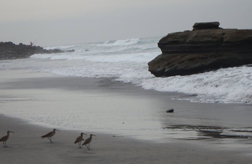 Ensenada Condo | MAGNIFICENT 3 BED/2 BATH BEACH FRONT OASIS 18 MILES SOUTH OF ROSARITO