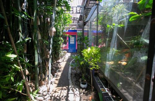 Cholula Apartment | Majikal B&B - Frida