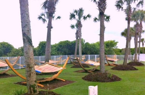 Myrtle Beach Condo | MARRIOTT OCEAN WATCH VILLAS OWNER WITH OVER 500 FIVE STAR REVIEWS