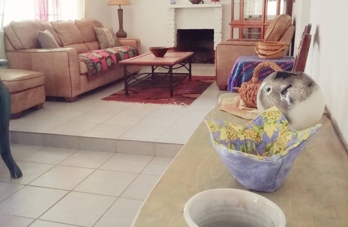 San Antonio de las Minas Apartment | Mexican wine country rental
