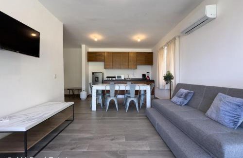 Santiago Ski Chalet | Mikono Rentals - Departamento, quinta, cabaña en Santiago