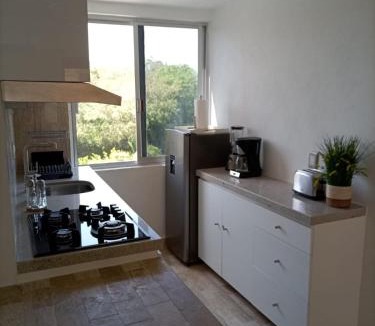 Dario Galeana Apartment | Modern apartment in the Ixtapa hotel area