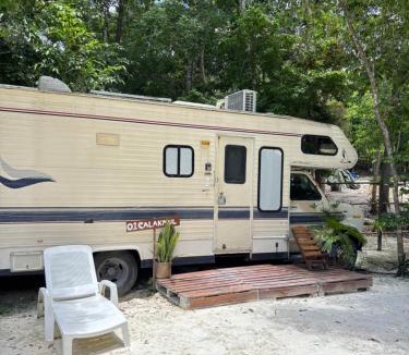 Xpujil Other | Momotoh Camper