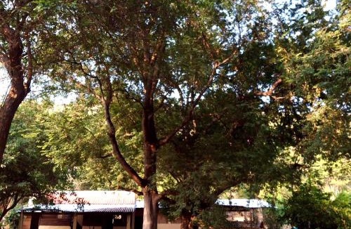 San Pedro Huamelula House | Monte al Mar, Barra de Cruz