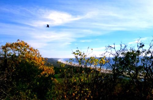 San Pedro Huamelula House | Monte al Mar, Barra de Cruz