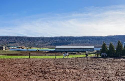 Spring Glen House | Mountain Sunrise Retreat