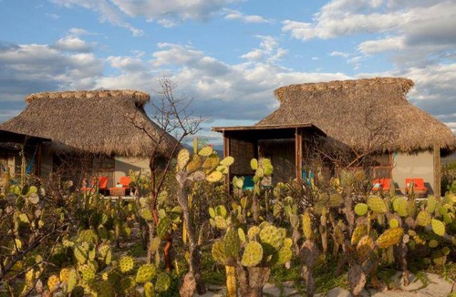 Puerto Escondido Hotel | 30 m² Hotel ∙ 3 guests