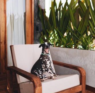 San Pedro Pochutla Hotel | Naked Hotel Zipolite -Adults Only-