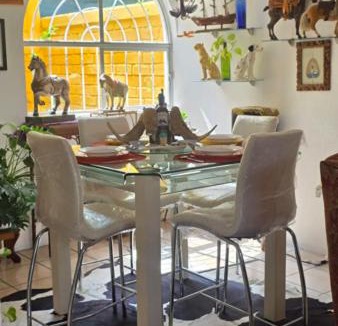 Queretaro Apartment | New Bamboo Noche en el Museo