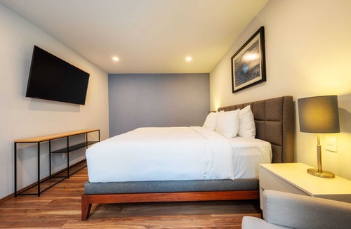 Coyoacan Condo | NEW Equipped Condo w/GYM & Roof