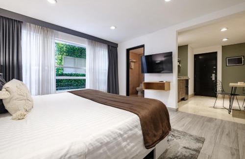 Miguel Hidalgo Apartment | Nido Parque Lincoln