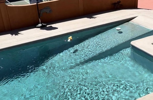 San Carlos Villa | Ocean view 4BR villa with private pool, pickleball court, palapa-bar & firepit