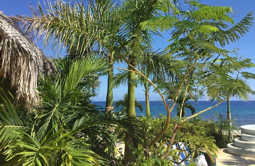 Los Barriles Villa | Oceanfront villa with infinity view pool, 1/2 mile north of LosBarriles sleeps 8