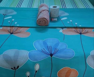 Acapetahua Bed & Breakfast | Palapa Abraham