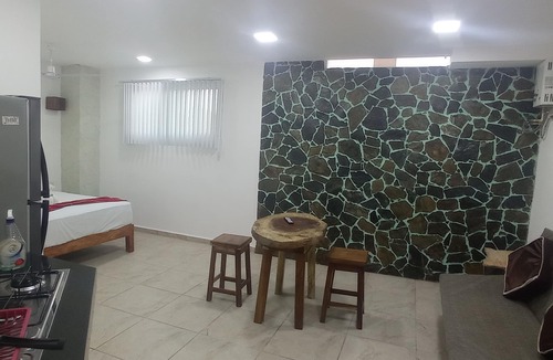 R Apartment | PALMAS DE CHAHUE E (376 SF)