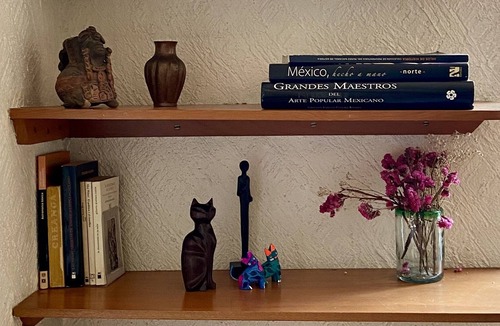 Coyoacan Apartment | Pedregal Gate