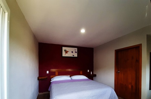 Xilitla House | Posada Ónix Xilitla
