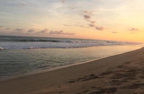 Acapulco Bed & Breakfast | Posada Las Palmas