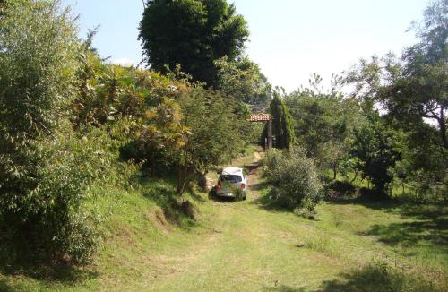 Tlayacapan Cabin | Posada Xamicalli