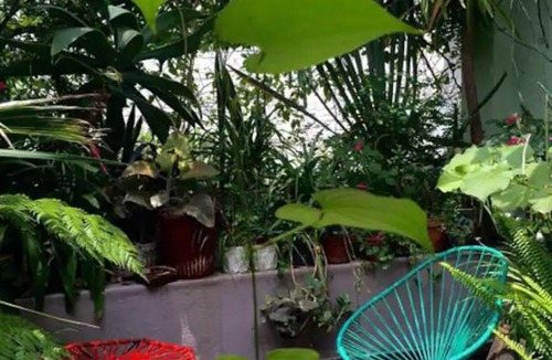 Roma Norte Apartment | Private green terrace at cozy duplex in ROMA’s heart